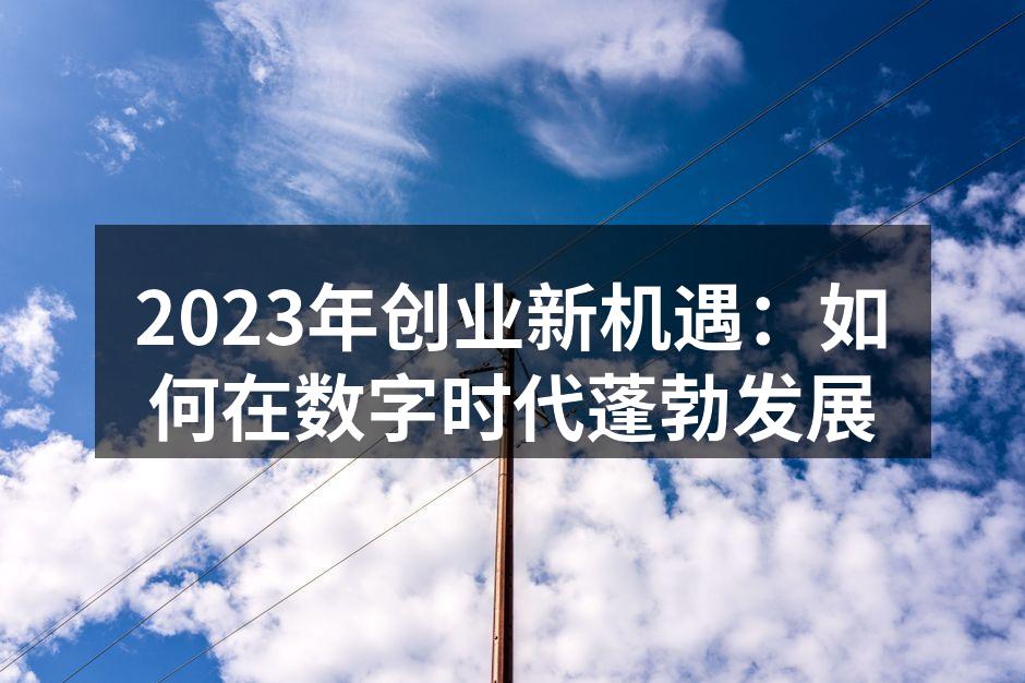 2023年创业新机遇：如何在数字时代蓬勃发展